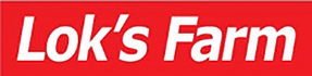 Macy Future-Foggy Projection